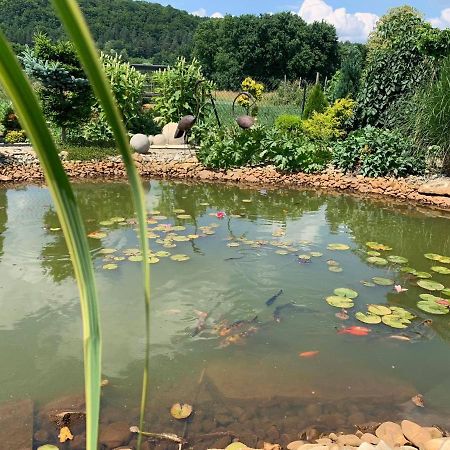 Villa Siedlisko Przyjazne Progi Rusocice Esterno foto