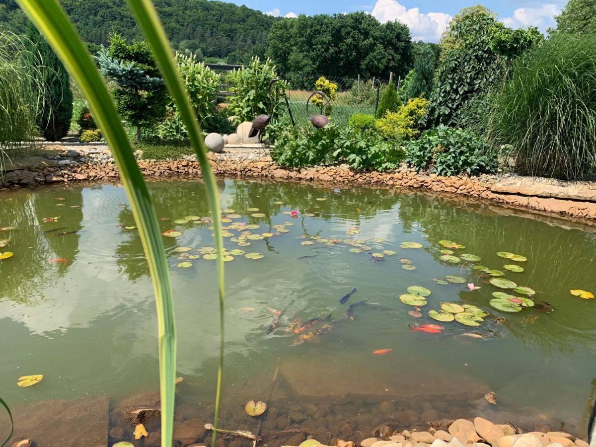 Villa Siedlisko Przyjazne Progi Rusocice Esterno foto