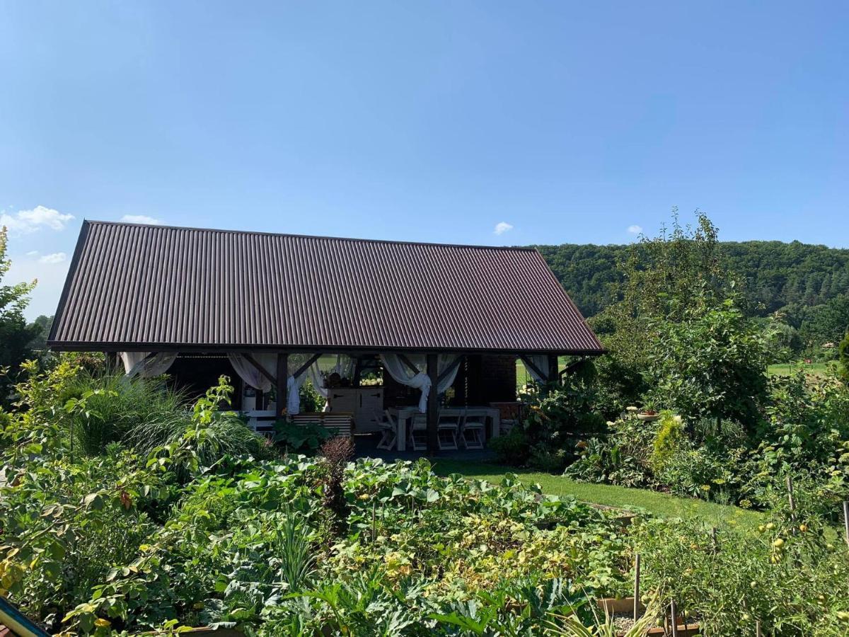 Villa Siedlisko Przyjazne Progi Rusocice Esterno foto